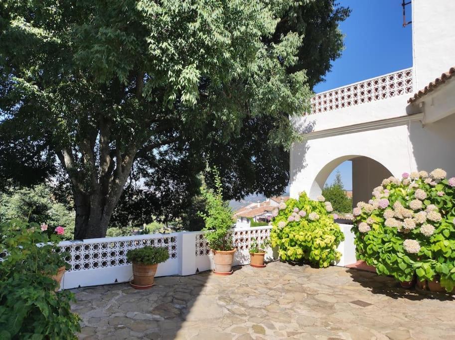 Casa Pomar - Preciosa Casa Con Piscina Y Vistas A La Sierra Villa Grazalema Bagian luar foto